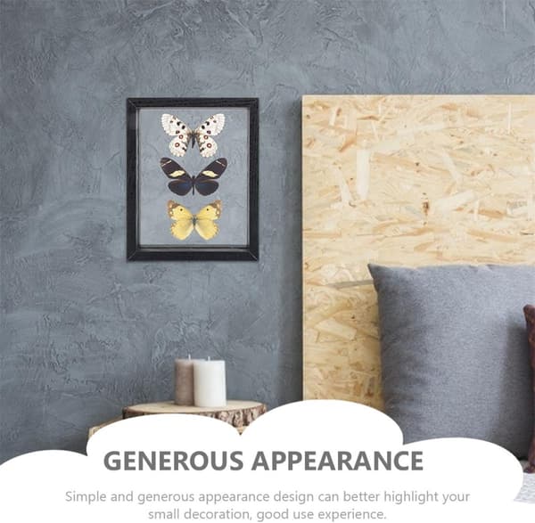 Exemplar Display Frame Plants Display Frame Wood Glass Simple and Generous Appearance Register