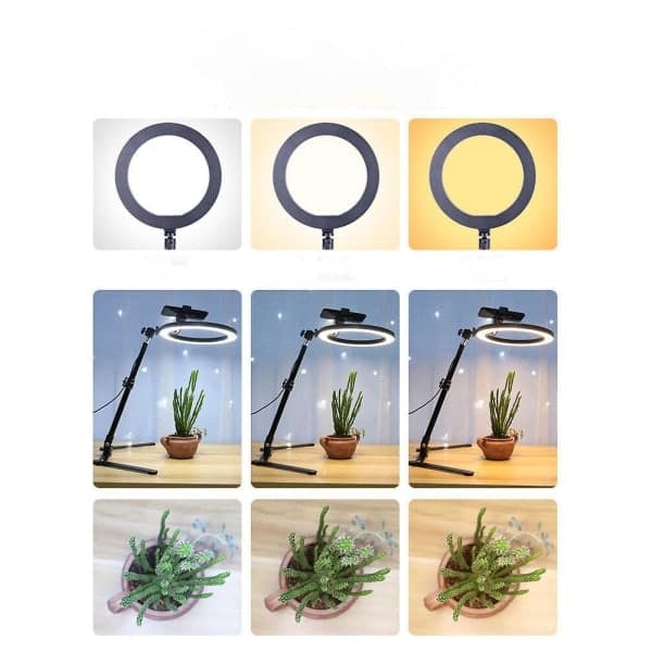 Overhead Frame + 26cm Ring Light + Robotic Arm + Desk Mount for Mobile Phone Lazy Overhead Photography Mount Fill Light