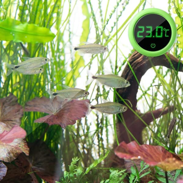 Mini digitalt akvarietermometer, selvklæbende LCD digitalt akvarietermometer til akvarier, krybdyr, terrarier
