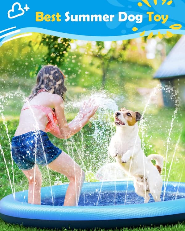 Hundplaskdamm (150 cm), tjock och tålig hundpool, sommar