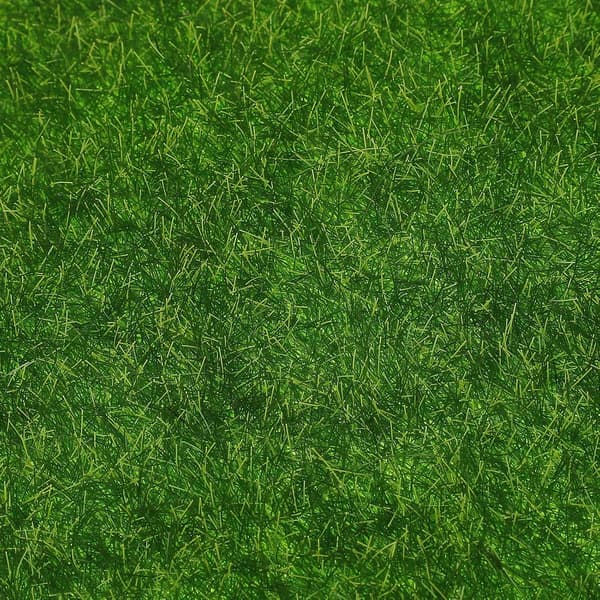 Artificial Moss Decorative Mat Green PVC Portable No Maintenance Needed Landscaping Decorative