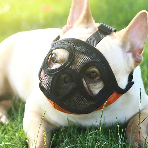 Mesh Dog Muzzle, Short Snout, Adjustable, Breathable, Bulldog Muzzle for Biting, Chewing, Barking, Dog Mask, Orange, M