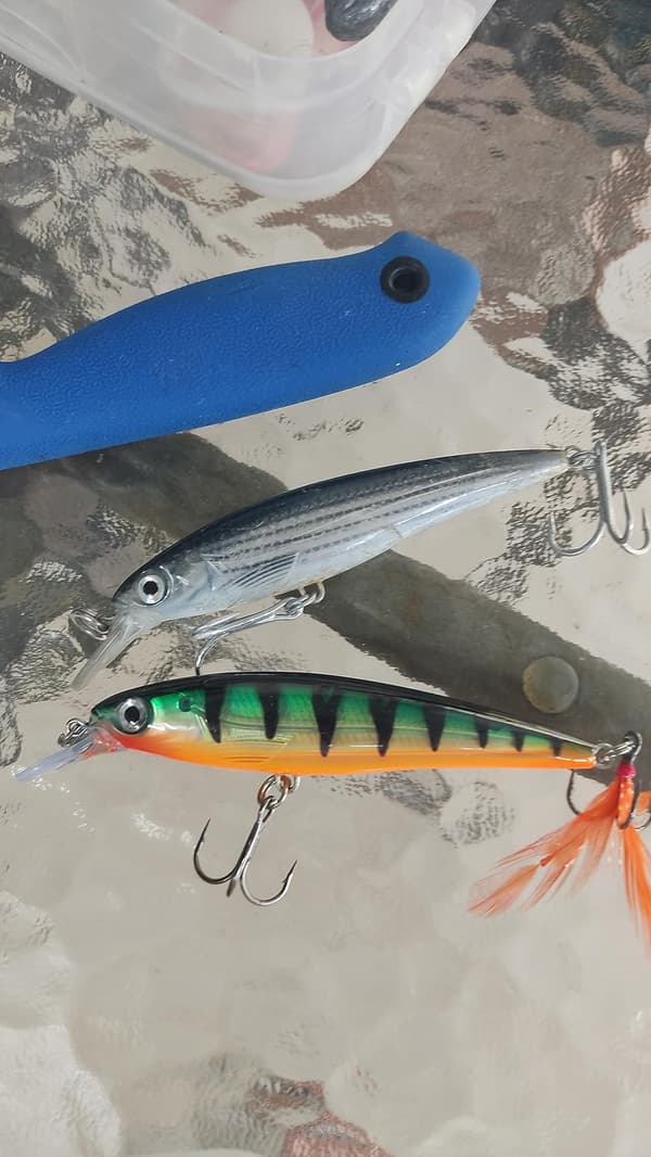 Fiskedrag
