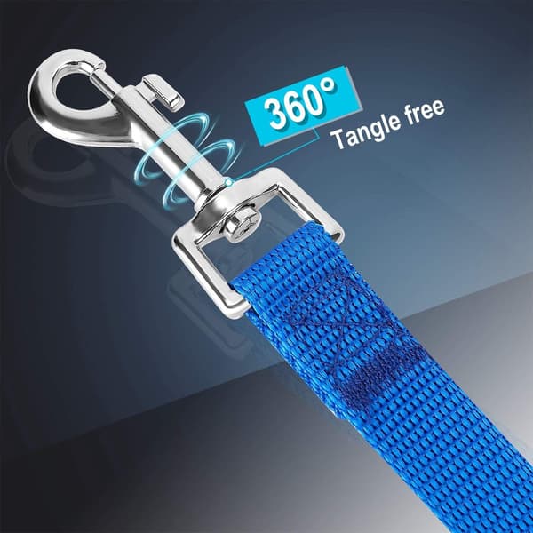 Dog Leash 20 meters - Long Leash - Nylon - 2 cm wide - Blue - Active and medium-sized dogs - For training, walks