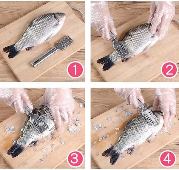 2-delt fiskeskraper i rustfritt stål kjøkkenredskap
