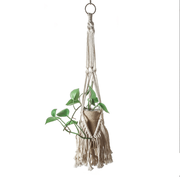 Garden Creative Plant Greening Hanging Basket (GT124)