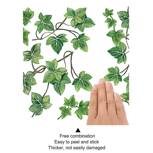 Väggdekal Grön Hängande Vinranka Väggdekal Murgröna Blad Vägg