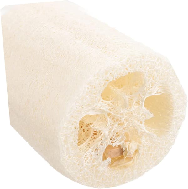 Natural Loofah on a Stick Bath Brush for Home Use, Long-Handled Exfoliating Skin Scrubber