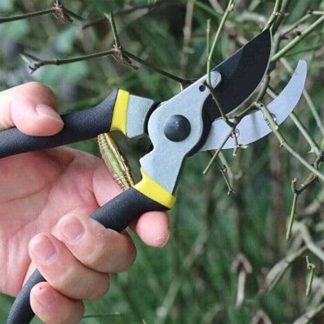 Ahlsen Volute Pruning Shears Springs, Replacement Volute Spring, Stainless Steel Garden Pruner Spring Parts, Replacement Spring Garden Tool Accessory (HK)