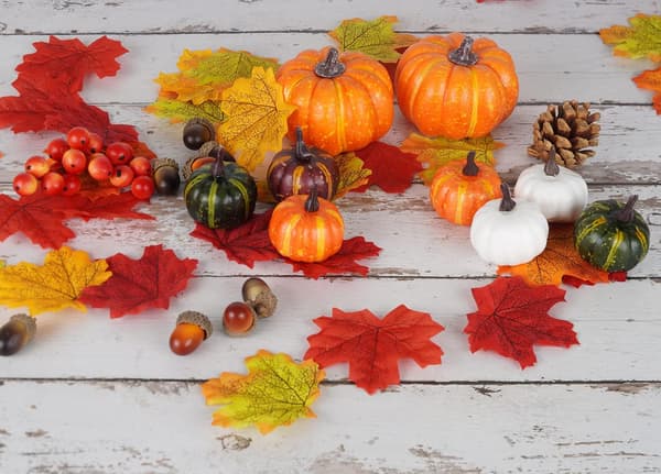 162 stk. Kunstige Efterårslønblade, Høstgræskar, Agern, Kogler og Orange Bærstængler Sæt til Efterår Thanksgiving