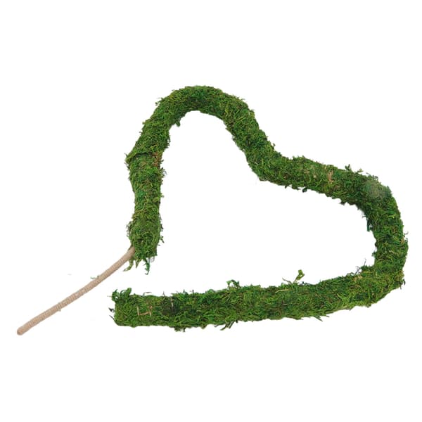 Natural Moss Pole Bendable Moss Plant Pole Plant Climbing Tool for Potted Plants