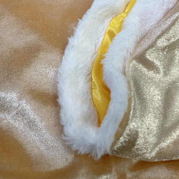 Prinsesse Hette Cape Kappe Kostyme for Jenter Karneval Halloween Jul Karneval Cosplay Gull 9-10 År