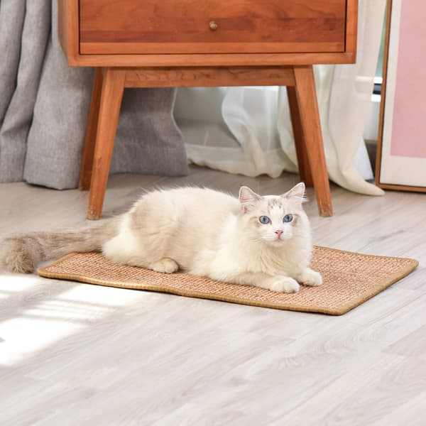 Cat Scratch Mat, 60x40 cm Natural Sisal Cat Scratch Mat, Horizontal Cat Floor Scratcher, Protect Furniture and Sofas