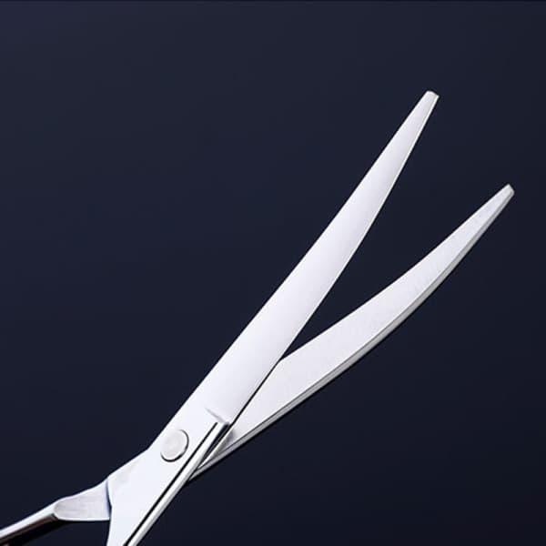 Dog Scissor Set with Trimming Scissors, Thinning Scissors, Curved Scissors and Comb Silver