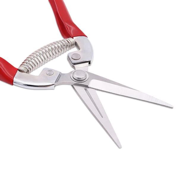 Puutarhasakset, hedelmäpuu Bonsai puutarhaleikkurit, ZQKLA