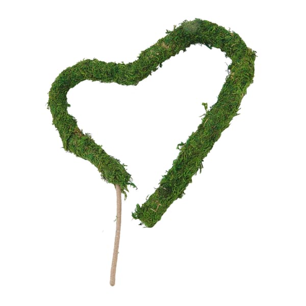 Natural Moss Pole Bendable Moss Plant Pole Plant Climbing Tool for Potted Plants