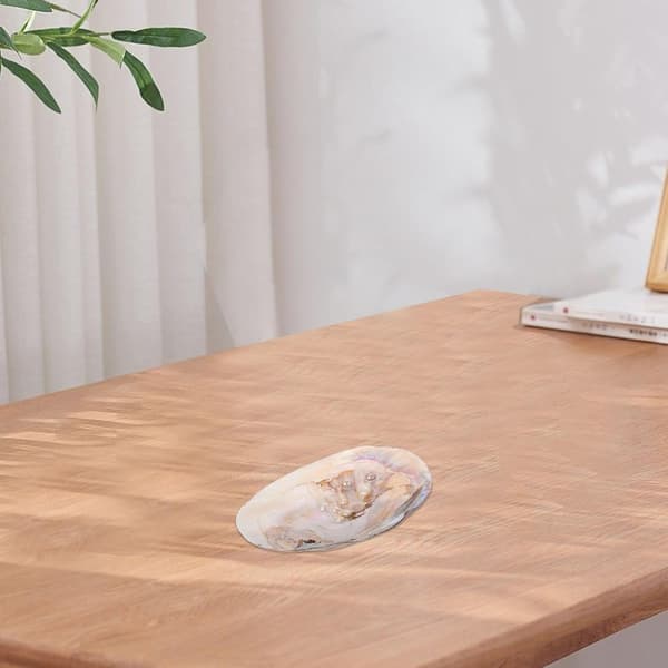 Naturlig stor muslingeskalsbakke til smykker, multifunktionel holdbar pyntefad
