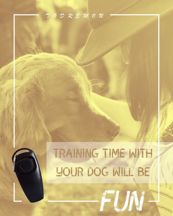 Dog Whistle Recall - High Frequency, Professional, Dog Recall, Behavior Training Aid (Black)