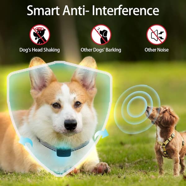 Debuns - Anti-Bark Collar for Small Dogs 5-15 lbs - Rechargeable, IP67 Waterproof - Adjustable Sensitivity, No Electric Shock
