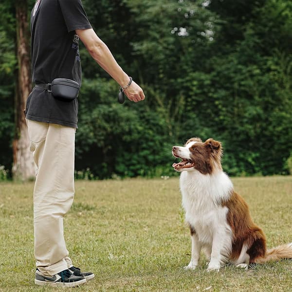 Træningspose til kæledyr, med magnetisk silikonebæltepose til hundegodbidder, perfekt til (sort)