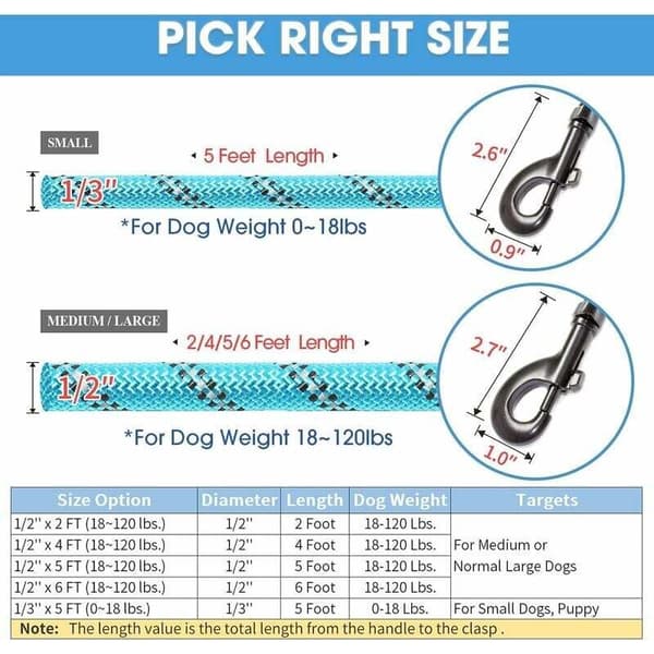 Dog Leash with Comfortable Padded Handle and Strong Reflective Threads for Small, Medium, and Large Dogs (6ft, Blue)