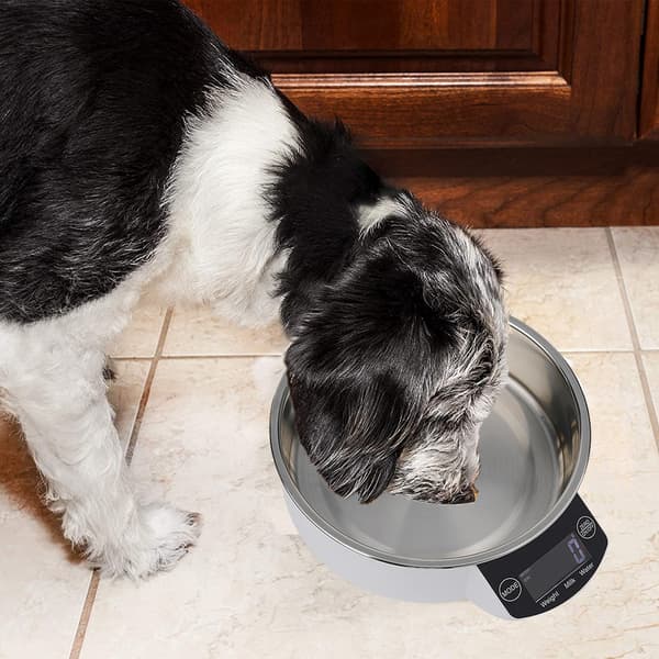 Protected Scale Cover, Modern Kitchen Scale with Bowl, LCD Digital Display Ensures Clear Readings, 2*1.5V AAA Battery Powered for Reliability