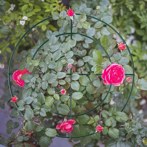 Pionstöd och växtstöd med ringbåge och 3 ben, 3-pack (45 cm)