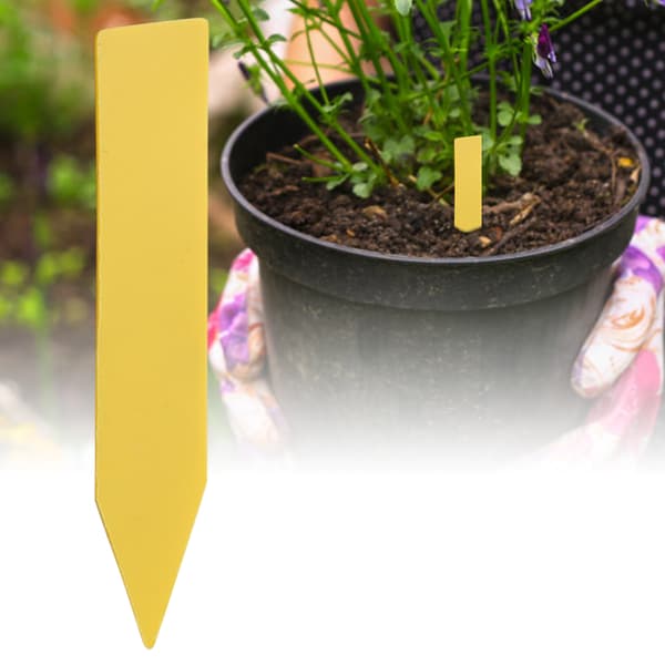 100 gule plantenavnelapper i plast Hageblomsterpinner