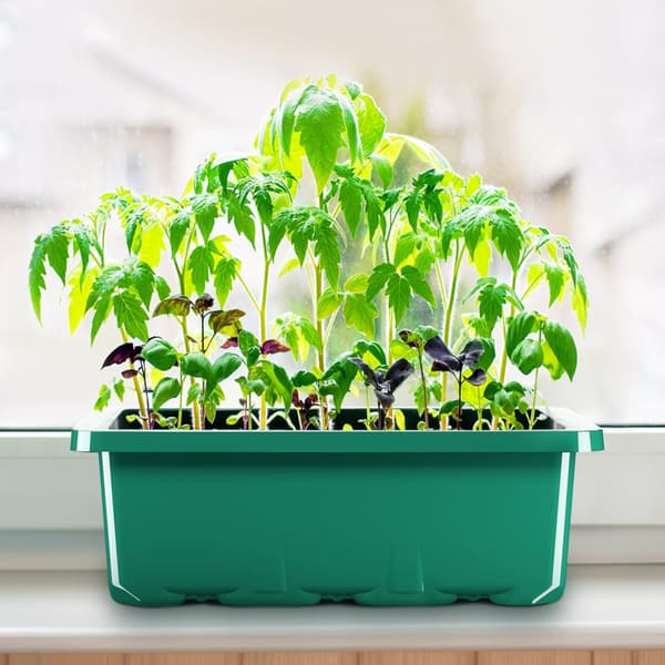 Seed Starter Tray with Humidity Dome, Durable Material Seed Starter Kit for Indoor Greenhouse Growing, Adjustable Humidity Dome Visible Clear