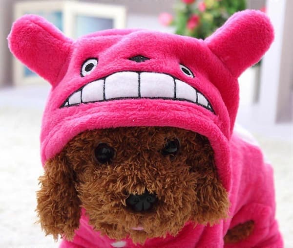 Hvalpetøj Hundetrøje Varm Sweater Efterårsfrakke Efterår Hundetøj Mode Overalls Pink L