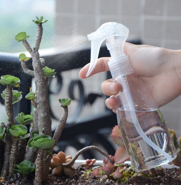 3 st trädgårdssprutor 200ml Transparent Sprutflaska för Trädgårdsskötsel