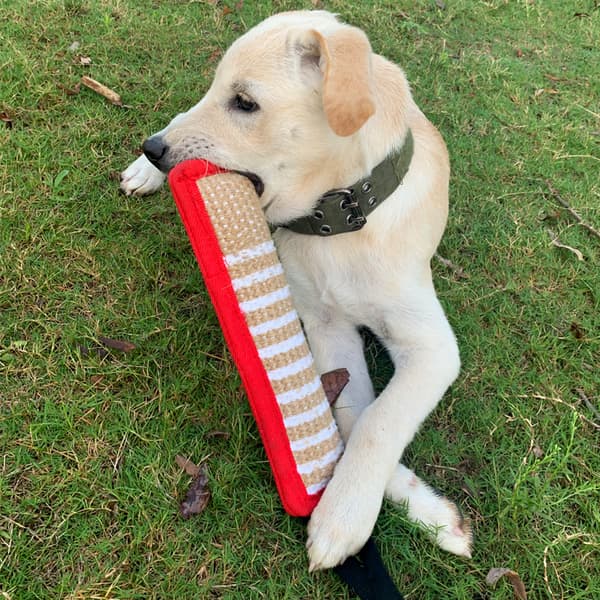 Röd hundträningsbitkudde i jute, slitstark hunddragleksak D
