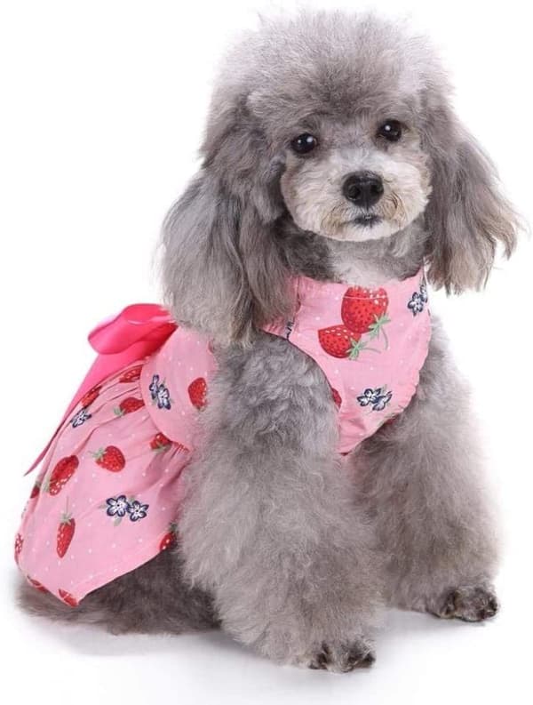 Cute Dog Dress with Strawberry Pattern and Bow Decoration, Durable and Practical, Size M