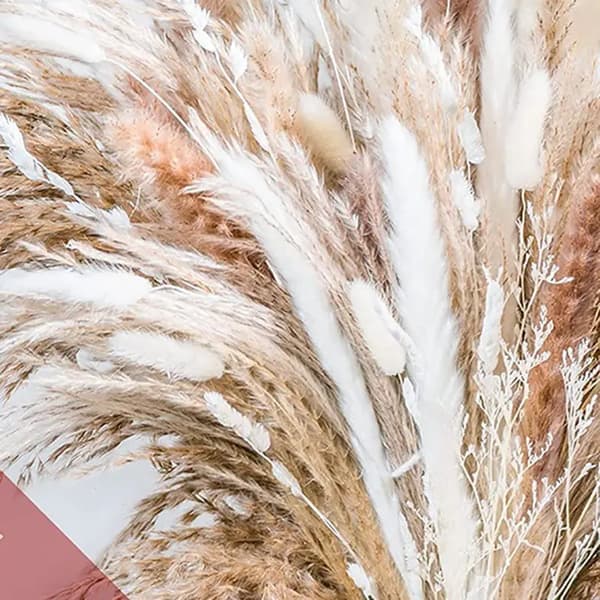 50 st Torkat Pampasgräs Dekor, Pampasgräs Växter för Blomsterarrangemang Bröllop Boho Soffbord Heminredning