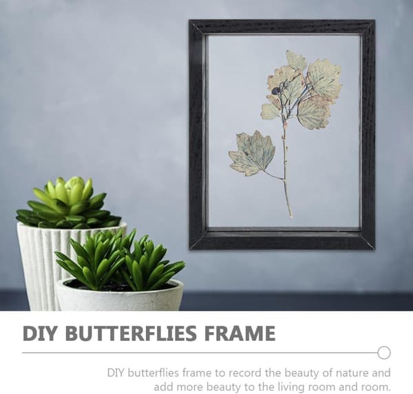 Exemplar Display Frame Plants Display Frame Wood Glass Simple and Generous Appearance Register