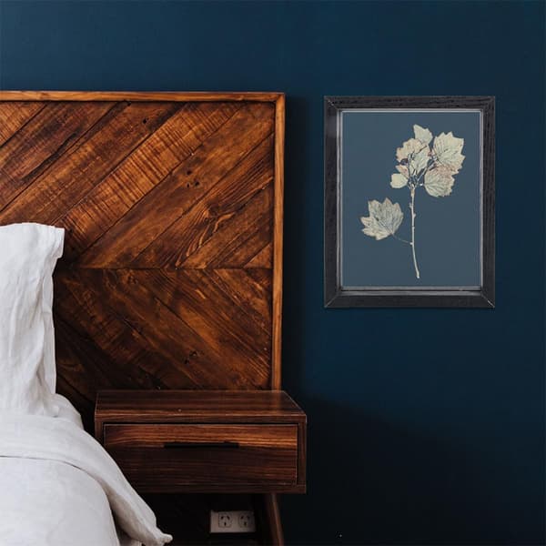 Exemplar Display Frame Plants Display Frame Wood Glass Simple and Generous Appearance Register