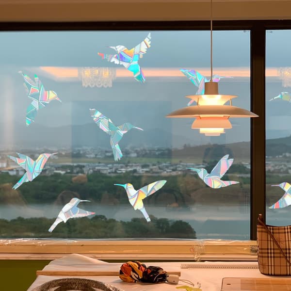 Circular Window Decals - Anti-Collision Decals to Save Birds from Collisions