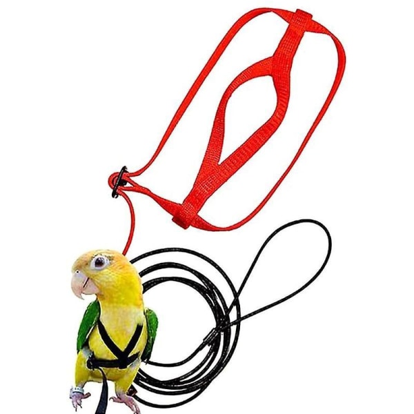 Parrot Bird Harness Leash Outdoor Flying Traction Straps Band Adjustable Anti-Bite Training Rope Blue M