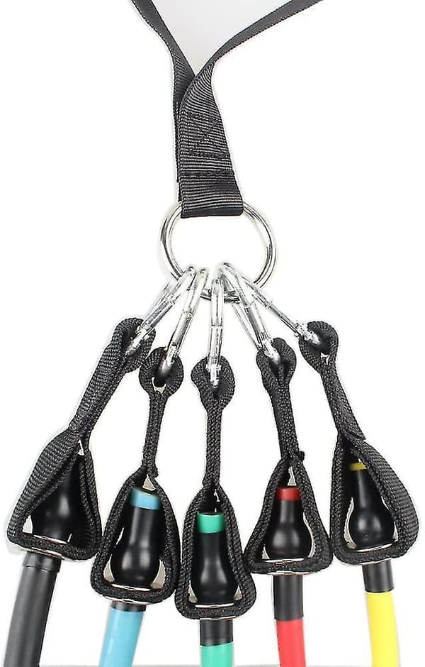 Resistance Band Handle Heavy Duty Cable Machine Attachment With Abs Core, Strong Nylon Webbing, And Seamless Steel O Ring