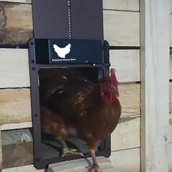 Automatic Chicken House Door Light Sensor Chicken House Night Opening Timer