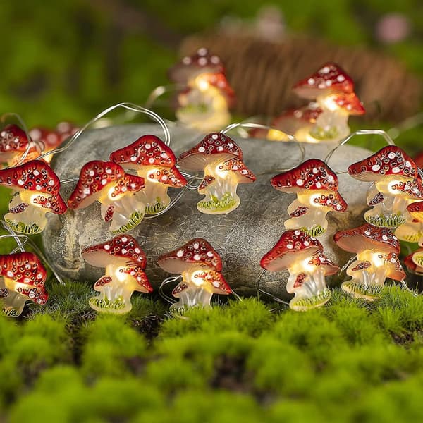 Mushroom Decoration Led String Lights 10 Feet 30 Led Battery-powered Waterp