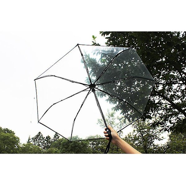 Totes  Automatic Open Foldable Umbrella Transparent-black