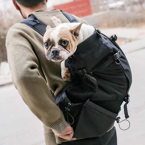 Dog Carrier Backpack For Small And Medium Pets Backpack Carrier Black M