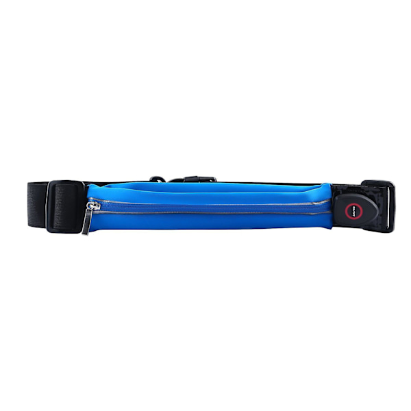 Led Luminous Waist Bag Waterproof Sports Outdoor Night Running Sports Usb Charging Waist Bag Blue 5.5 Inch