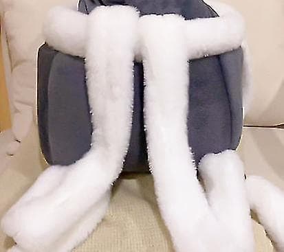 Cat Pet Portable Outing Backpack pink L