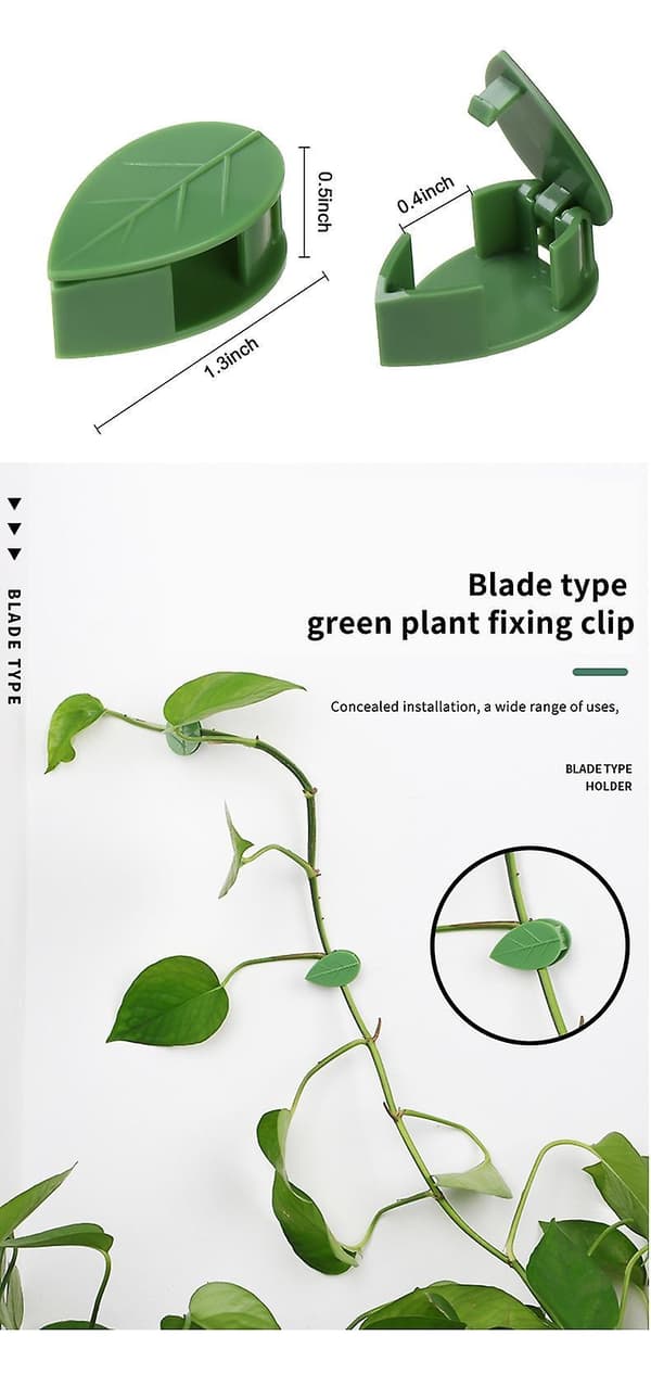 Invisible Plant Climbing Wall Fixture Rattan Vine Bracket Fixed Buckle Leaf Clips Traction Holder Garden ????? ??? ???????? 20 PC