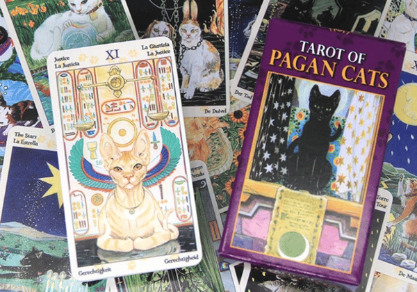Pagan Cat Tarotkort - Miniversion