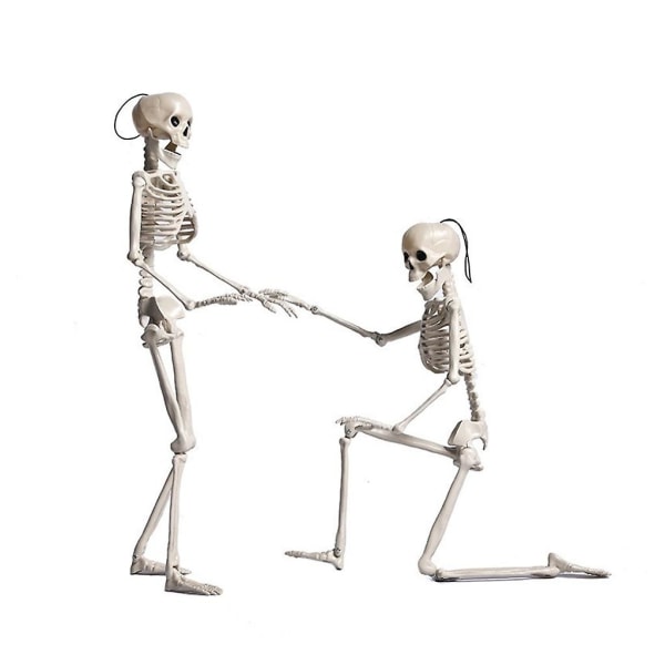 Halloween Skalle Skelett Simulering Mänskligt skelett Dekoration Festival Scen Layout Rekvisita