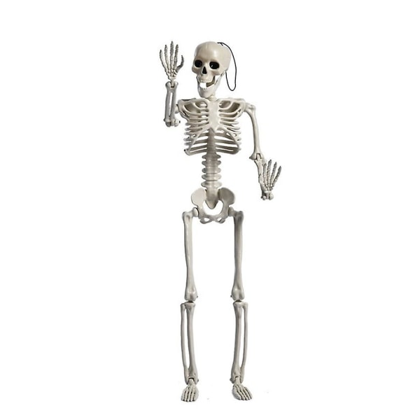 Halloween Skalle Skelett Simulering Mänskligt skelett Dekoration Festival Scen Layout Rekvisita