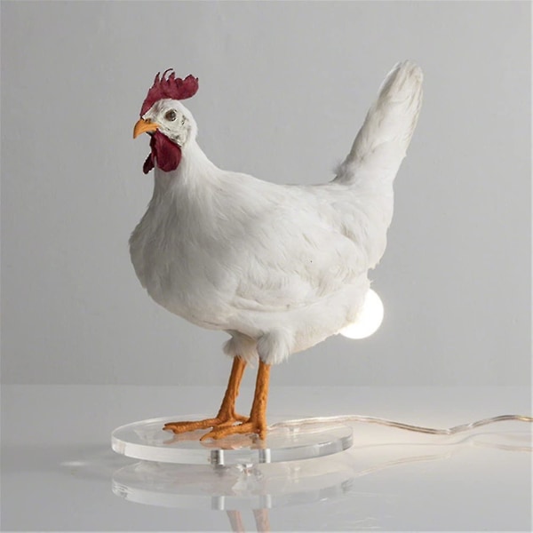 Chicken Led Lamp Taxidermy Egg Skrivbordslampa pannlampa baklampa tail